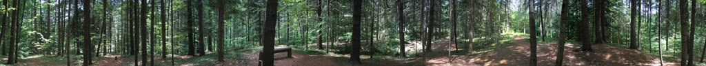 Pine Grove Panorama